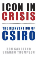 An_icon_in_crisis