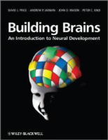 Building_brains
