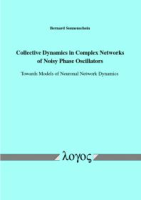 Collective_dynamics_in_complex_networks_of_noisy_phase_oscillators