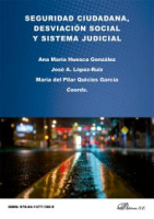 Seguridad_Ciudadana__Desviacio__n_Social_y_Sistema_Judicial