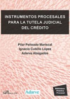 Instrumentos_Procesales_para_la_Tutela_Judicial_Del_Cre__dito