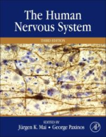 The_human_nervous_system